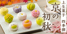 上生菓子 四季撰 京の初秋