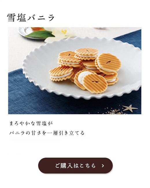 雪塩バニラ