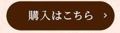 24枚入り