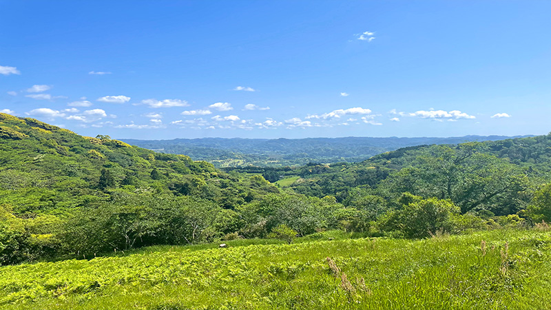 2026年GW帰省手土産ガイド